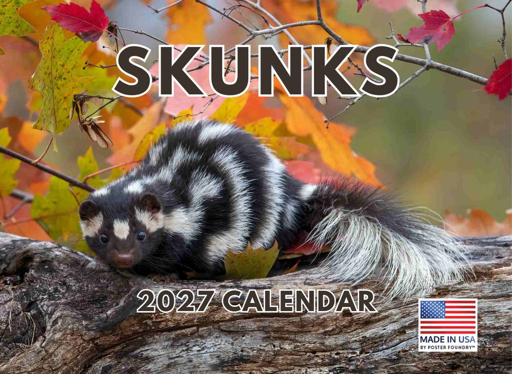 Skunk Calendar 2027 Monthly Wall Calender 12 Month | American Made In The USA 270537