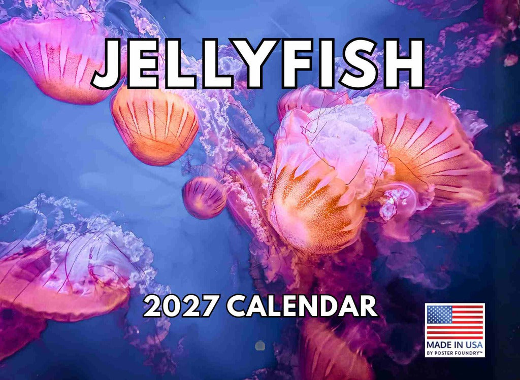 Jellyfish Calendar 2027 Monthly Wall Calender 12 Month | American Made In The USA 270553