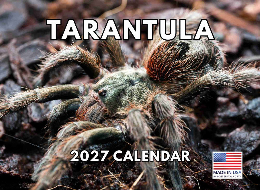 Tarantula Calendar 2027 Spider Monthly Wall Calender 12 Month | American Made In The USA 270589