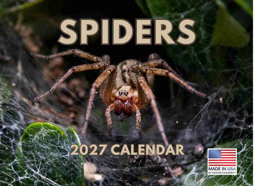 Spider Calendar 2027 Spiders Monthly Wall Calender 12 Month | American Made In The USA 270596