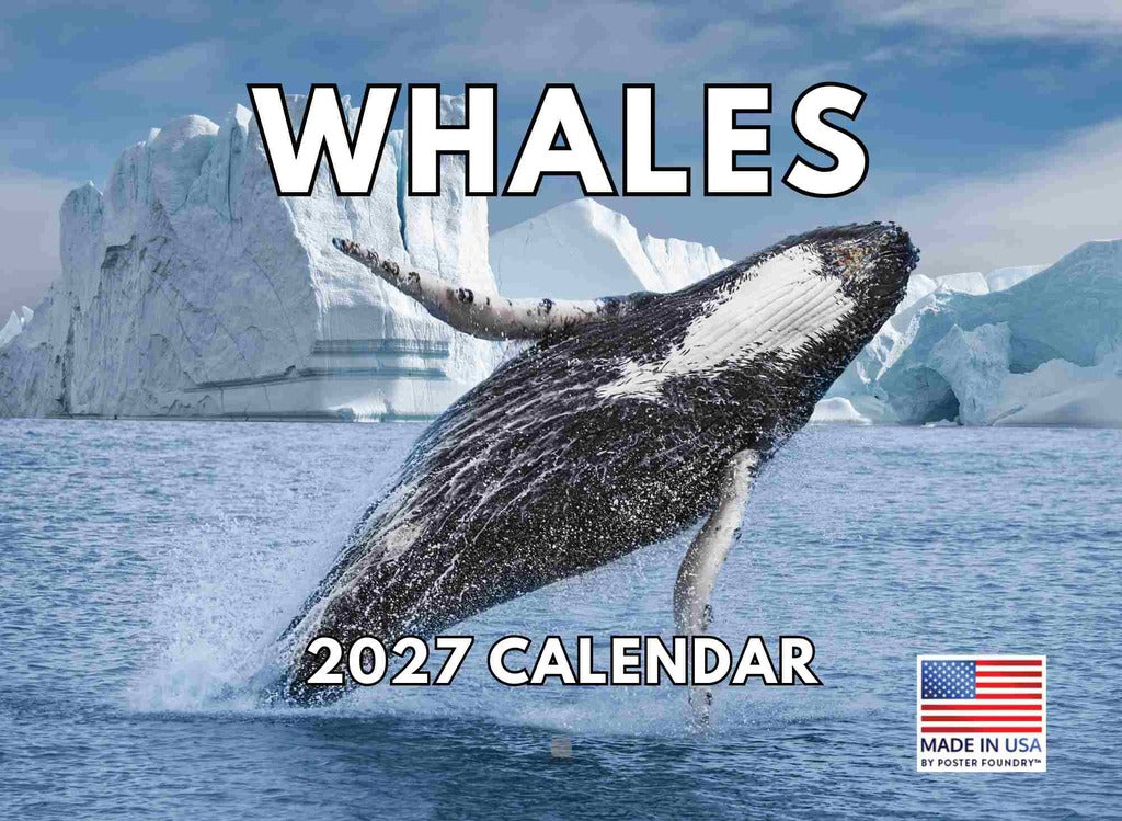 Whale Calendar 2027 Monthly Wall Calender 12 Month | American Made In The USA 270597