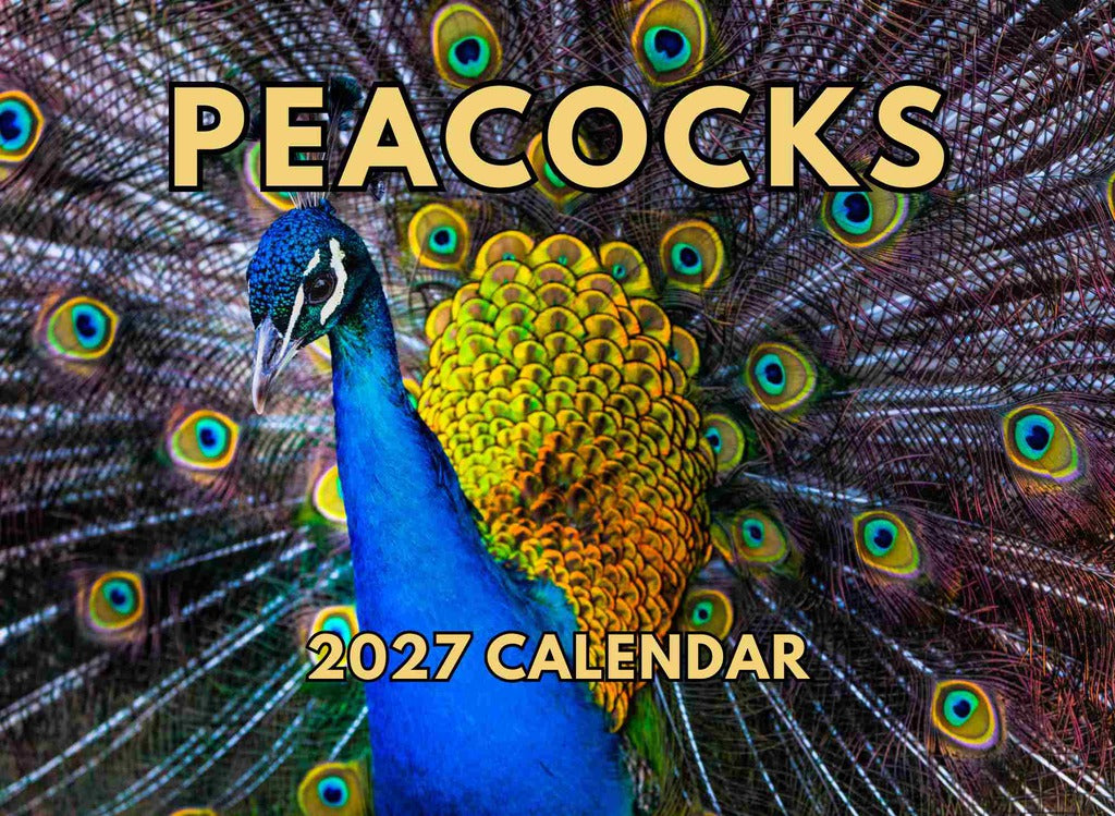 Peacock Calendar 2027 Monthly Wall Calender 12 Month | American Made In The USA 270622