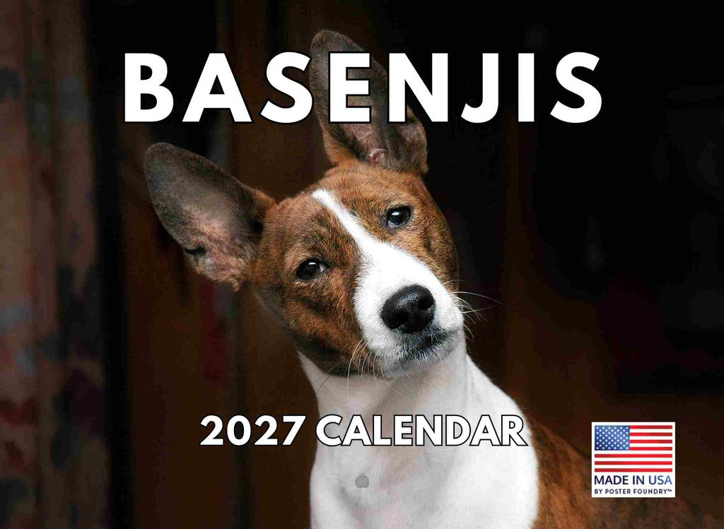 Basenji Calendar 2027 Monthly Wall Calender 12 Month | American Made In The USA 270652
