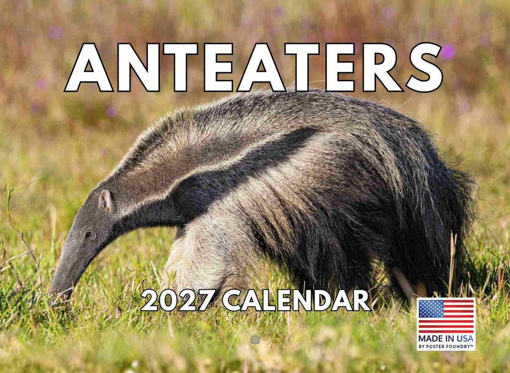 Anteater Calendar 2027 Antbear Monthly Wall Calender 12 Month | American Made In The USA 270685