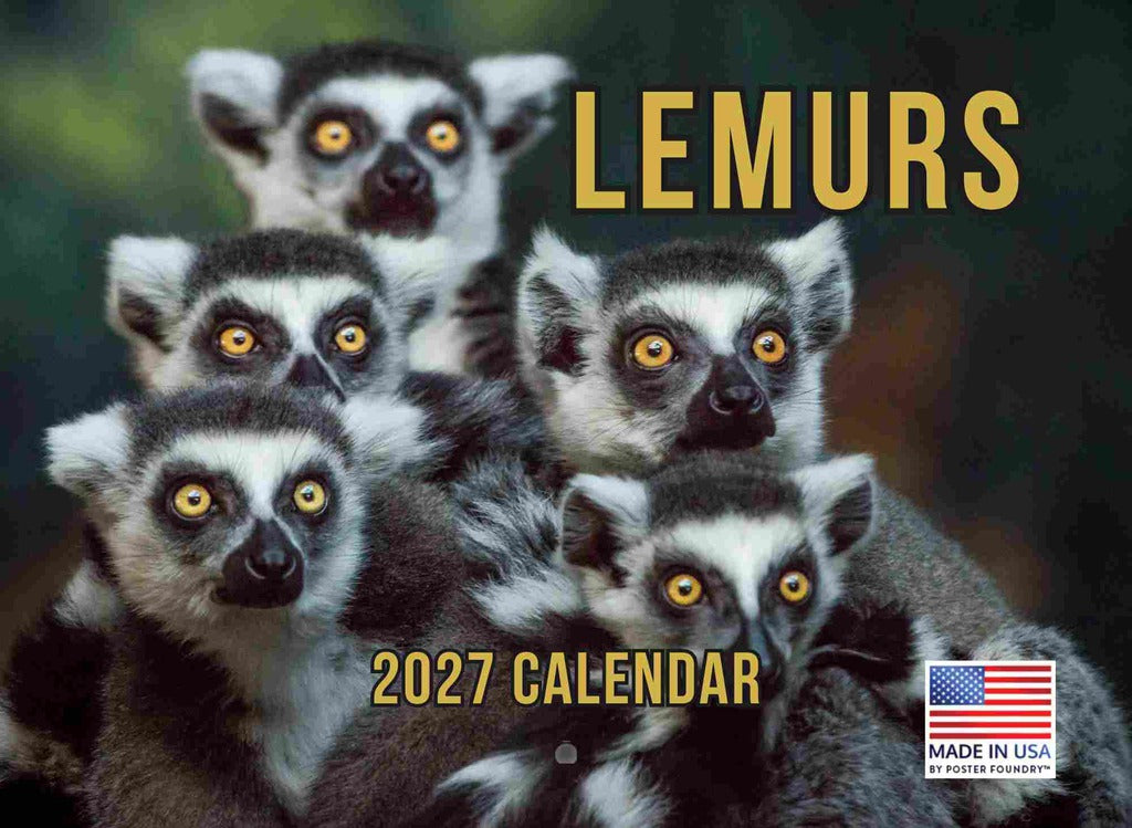 Lemur Calendar 2027 Monthly Wall Calender 12 Month | American Made In The USA 270714