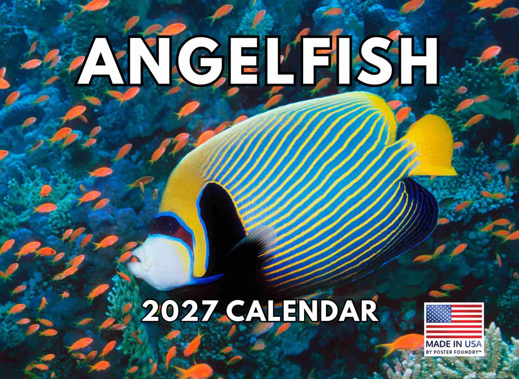 Angelfish Calendar 2027 Monthly Wall Calender 12 Month | American Made In The USA 270718