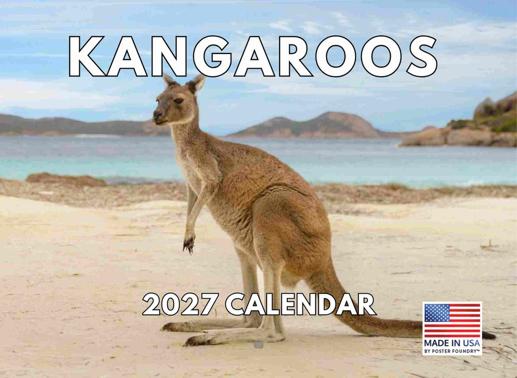 Kangaroo Calendar 2027 Monthly Wall Calender 12 Month | American Made In The USA 270721