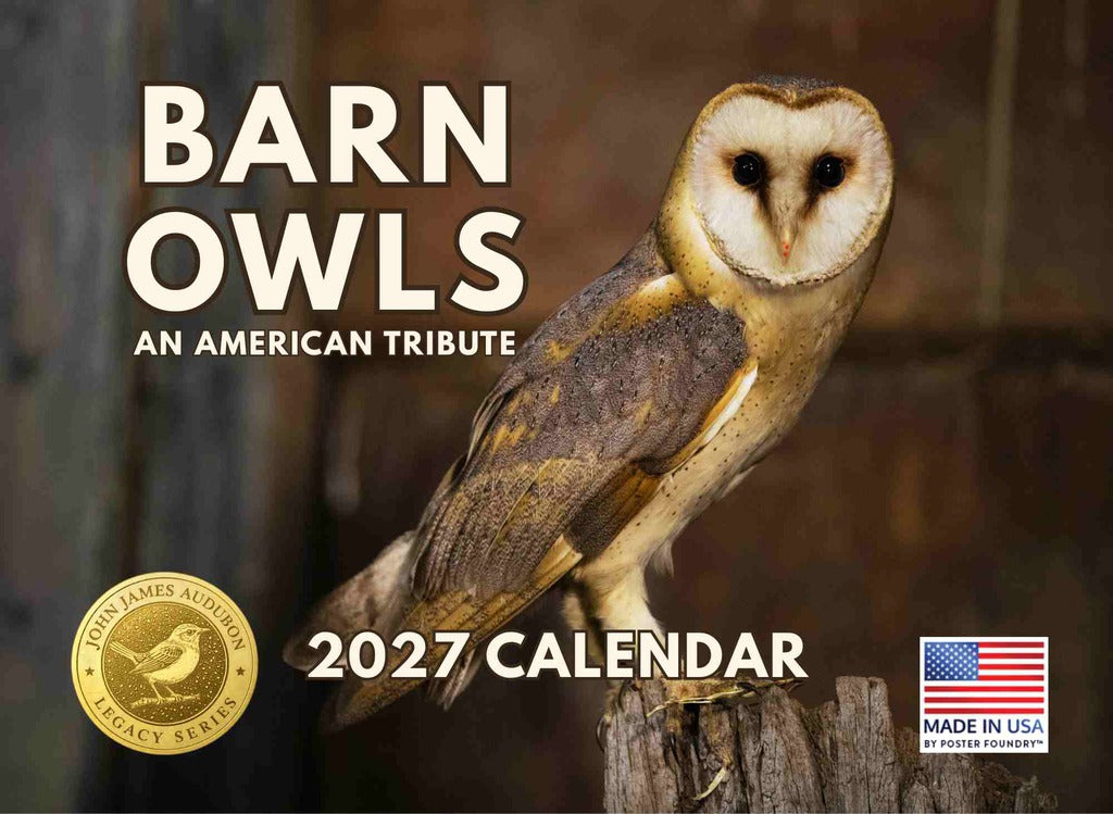 JJ Audubon Tribute Barn Owl Calendar 2027 Monthly Wall Calender 12 Month | American Made In The USA 270725