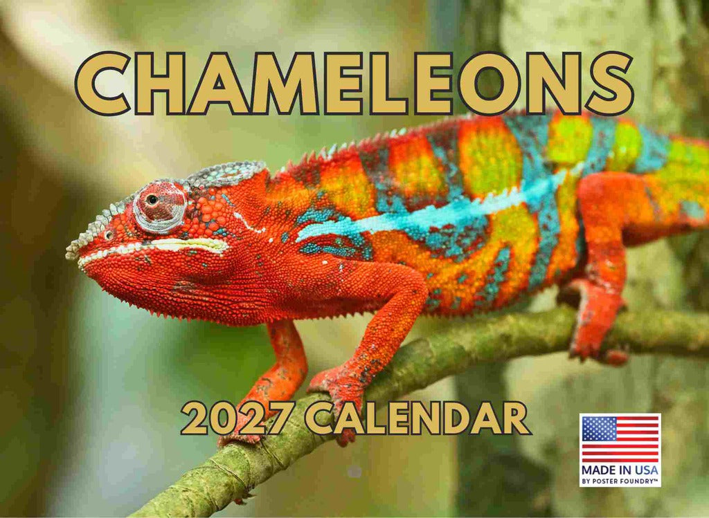 Chameleon Calendar 2027 Monthly Wall Calender 12 Month | American Made In The USA 270761
