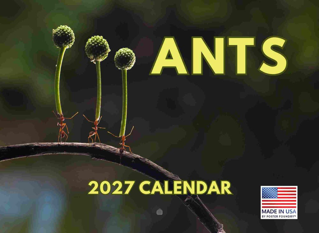 Ant Calendar 2027 Ants Monthly Wall Calender 12 Month | American Made In The USA 270788