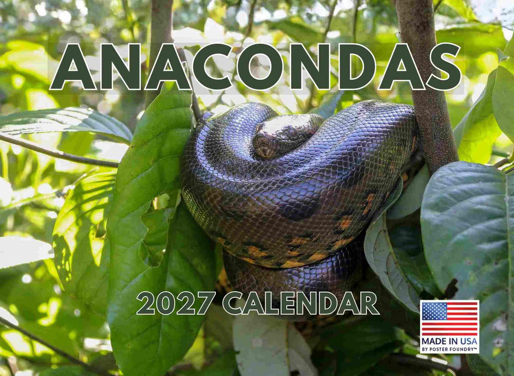 Anaconda Calendar 2027 Snake Monthly Wall Calender 12 Month | American Made In The USA 270814