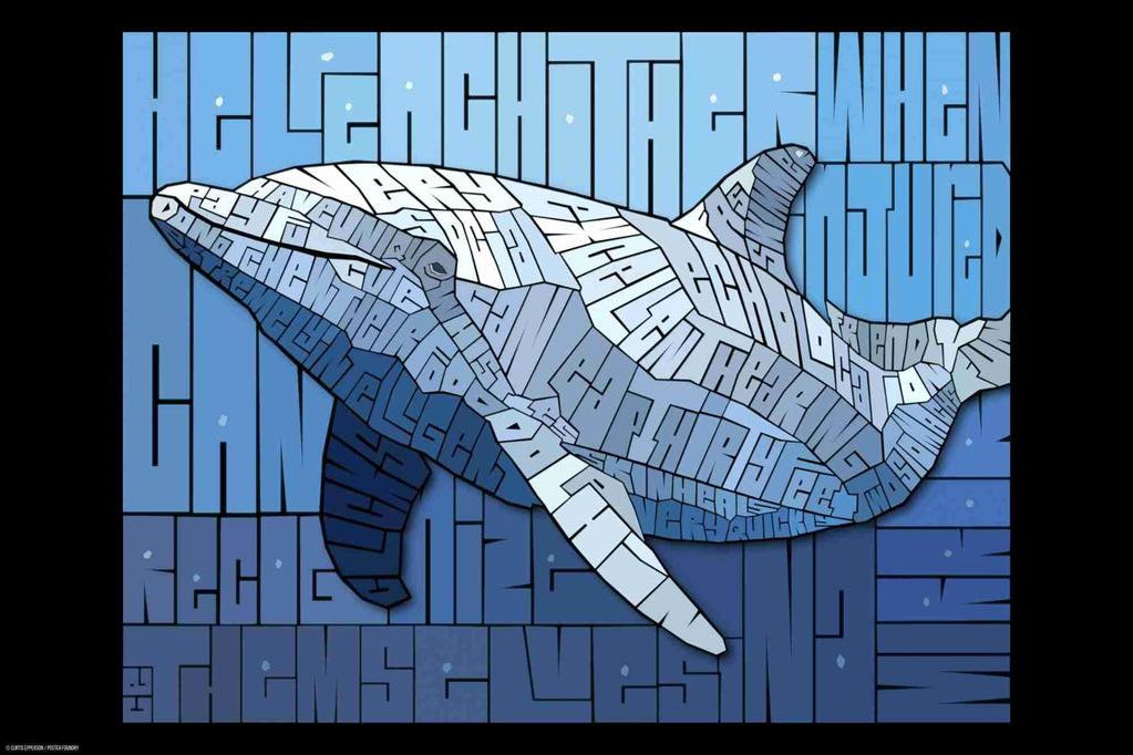 Curtis Epperson Dolphin Word Mosaic Art Hand Drawn Cool Wall Art Print Poster 12x18 272499
