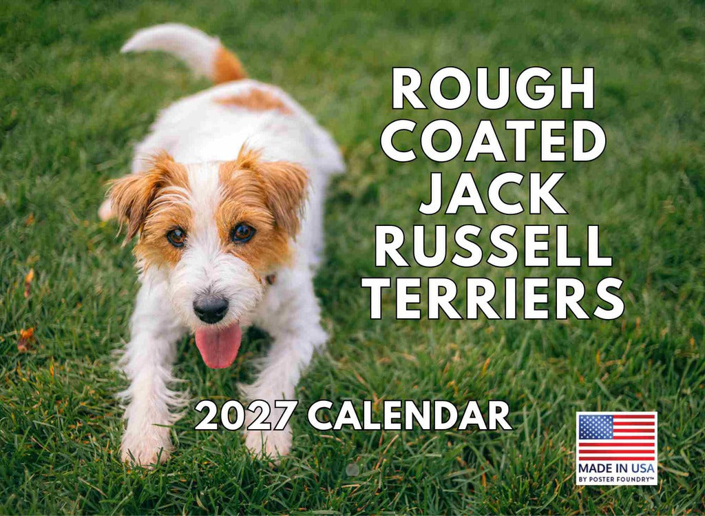 Jack Russell Rough Broken Scruffy Coat Calendar 2027 Monthly Wall Calender 12 Month | American Made In The USA 274712