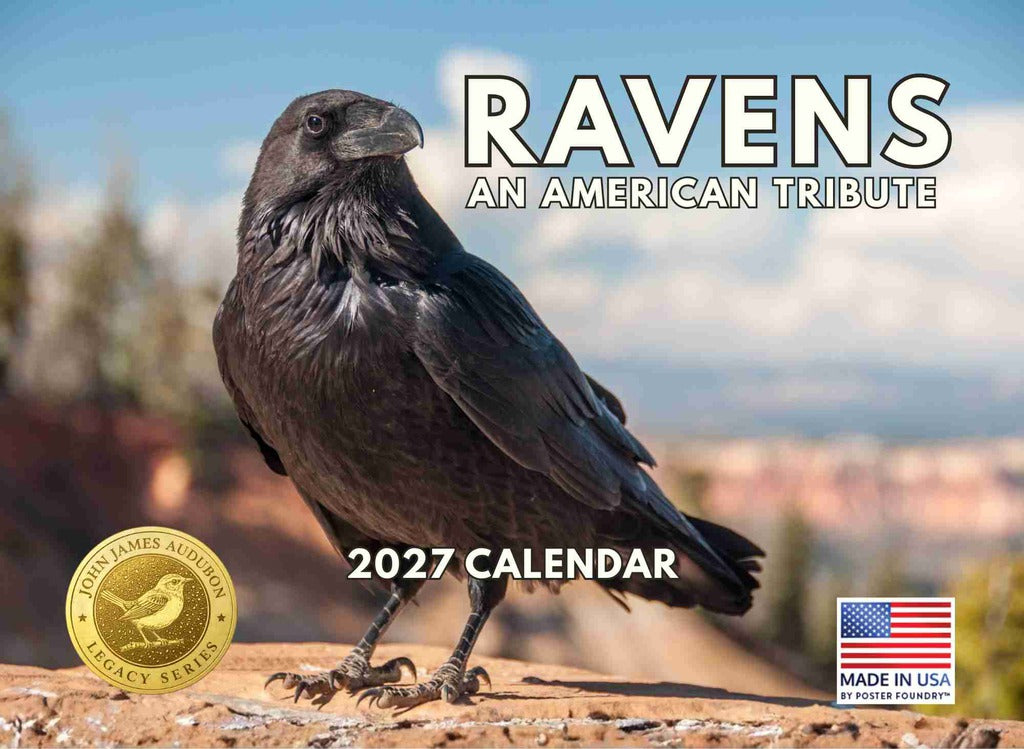 JJ Audubon Tribute Ravens Calendar 2027 Monthly Wall Calender 12 Month | American Made In The USA 275042