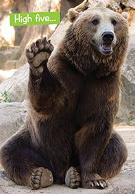 Quirky Critters- Bear high five- General Birthday. Retail $2.99 . Inside: You're still alive. Have a great day. 7441