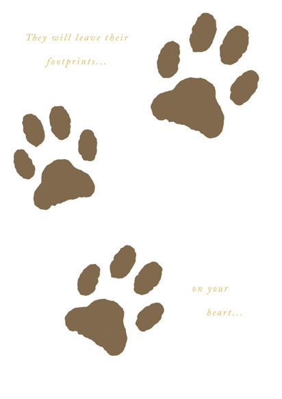 Paw prints- Sympathy loss of pet greeting card. Retail: $2.99. 6. Inside: A best friend, a companion.... 5058