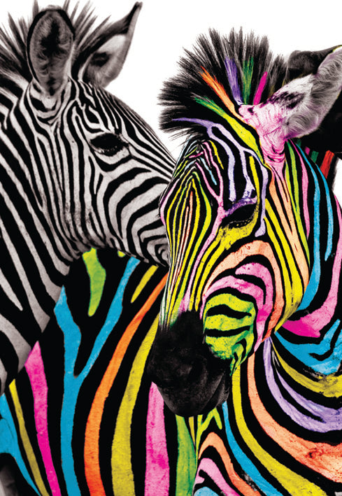 Zebras blank card from the Vivid Jungle collection. Retail $2.99. Unit Quantity 6. Inside: BLANK