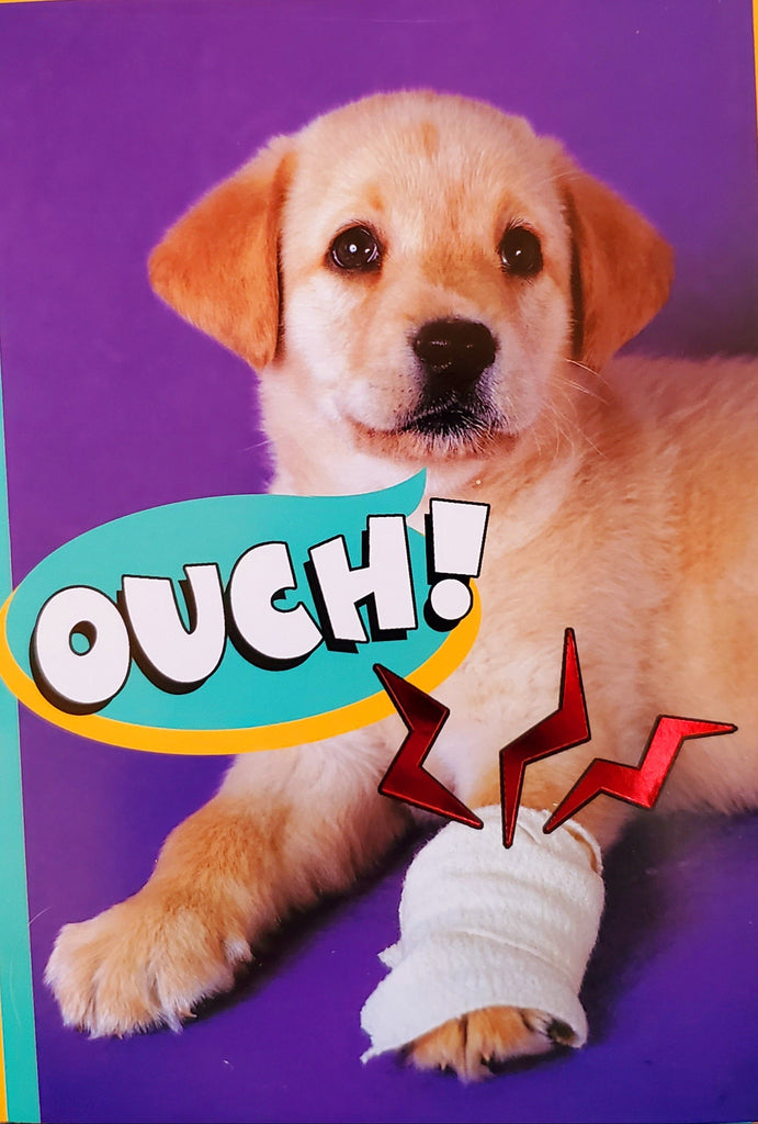 Puppy with bandage- Get well greeting card. Retail: $2.59. Unit pack: 6. Inside: Hope you feel better real soon!