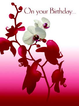 Pink and white orchids- Female general birthday card. 6. Retail: $2.99. Inside: ...and every day, wishing you more happiness than words can say. 04341A