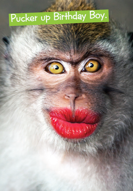 Quirky Critters- Monkey Pucker Up- General Birthday. Retail $2.99 . Inside: Happy Birthday. x x x x 7434