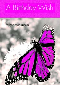 Pink butterfly Birthday card from the Electric Collection with glitter. Retail $2.59. Unit Quantity 6. Inside: Have a beautiful day.