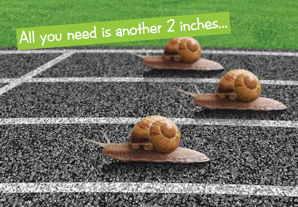 Quirky Critters- Snail race- General Birthday. Retail $2.99 Unit Quantity 6. Inside: ...and you'd be a winner. Happy Birthday.