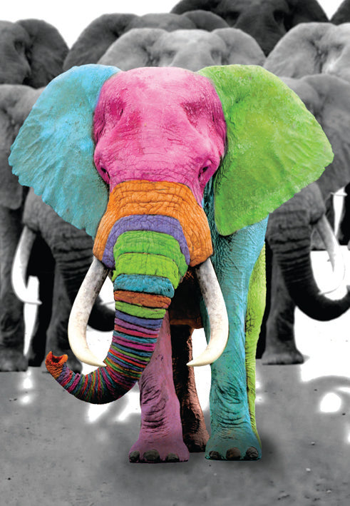 Elephant blank card from the Vivid Jungle collection. Retail $2.99. . Inside: BLANK 6072