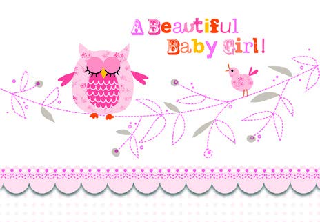 Pink owl, beautiful baby girl new baby greeting card. Retail: $3.49.  Inside: Congratulations on your bundle of joy! 5215