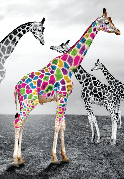 Giraffe blank card from the Vivid Jungle collection. Retail $2.99. . Inside: BLANK 6065