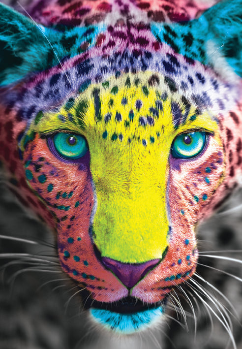 Cheetah blank card from the Vivid Jungle collection. Retail $2.99. . Inside: BLANK 6066