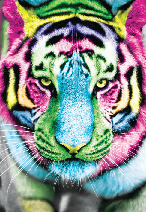 Tiger blank card from the Vivid Jungle collection. Retail $2.99. . Inside: BLANK 6069