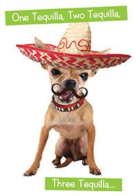 Quirky Critters- Dog with sombrero- General Birthday. Retail $2.99 Unit Quantity 6. Inside: Floor! Happy Birthday.
